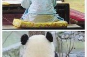 娱乐圈吃瓜群众是谁呀